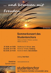 Flyer für die Sommerkonzerte 2013, als Motiv die Silhouetten von Gräsern vor der Abendsonne