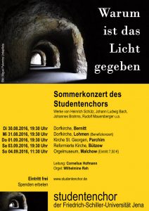 Flyer für die Konzertreise 2016, als Motiv eine Straße, die durch einen Tunnel führt, von rechts scheint durch Felsdurchbrüche immer wieder Licht
